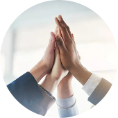 Professional Operation Management Team
