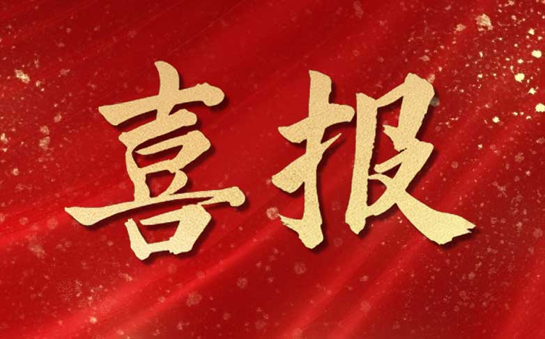 喜报｜恭喜埃森特集团荣膺江苏省人力资源服务常务理事单位